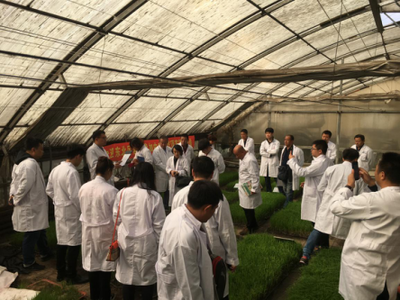 綠色農業新篇章 '頂苗新'環保技術交流會在哈爾濱隆重召開